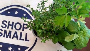 small biz sat herbs from Ace Hardware Rolesville