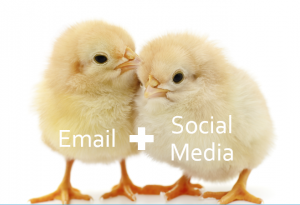 driving new business with email + social media