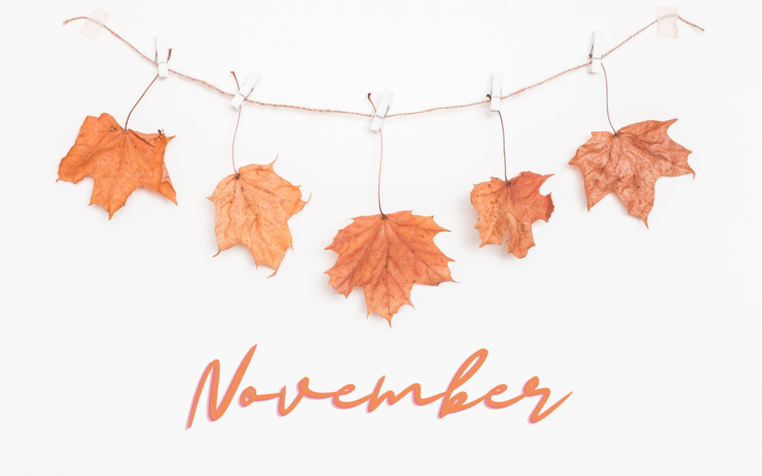 Your November content planner is here