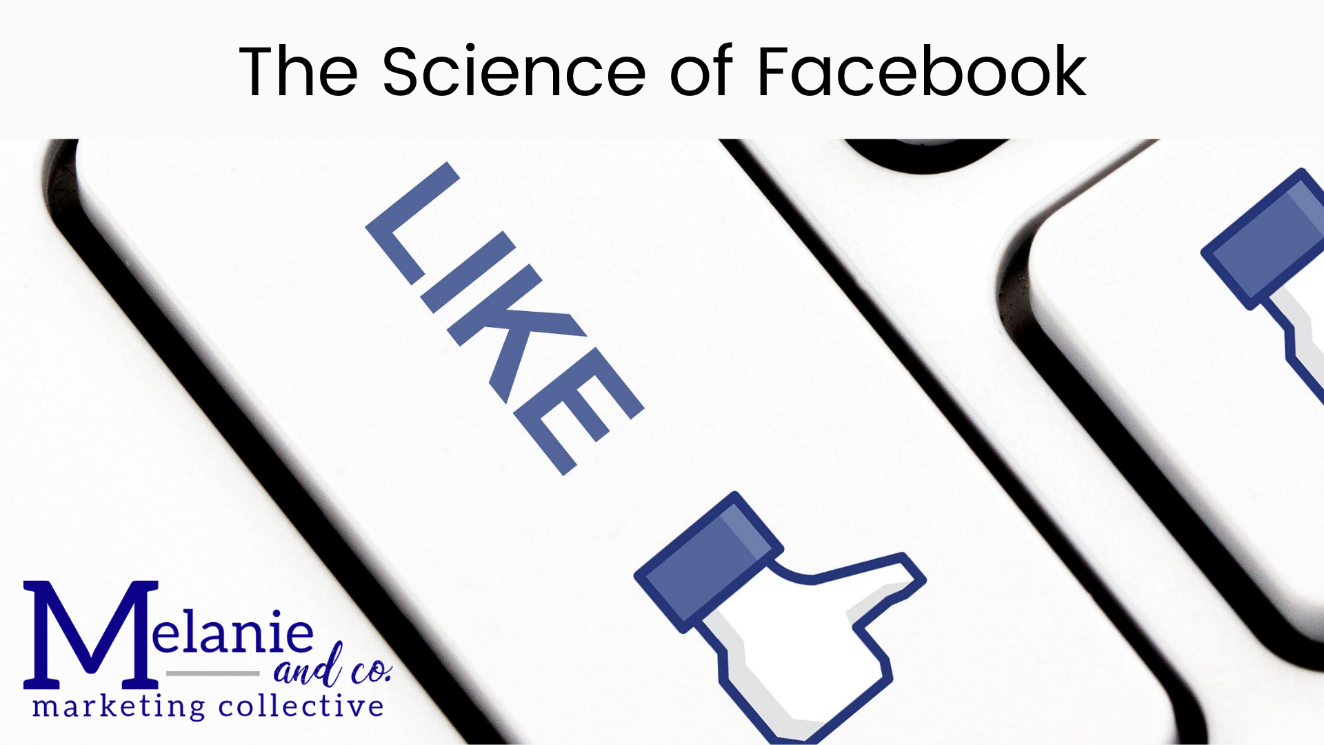 The Science of Facebook