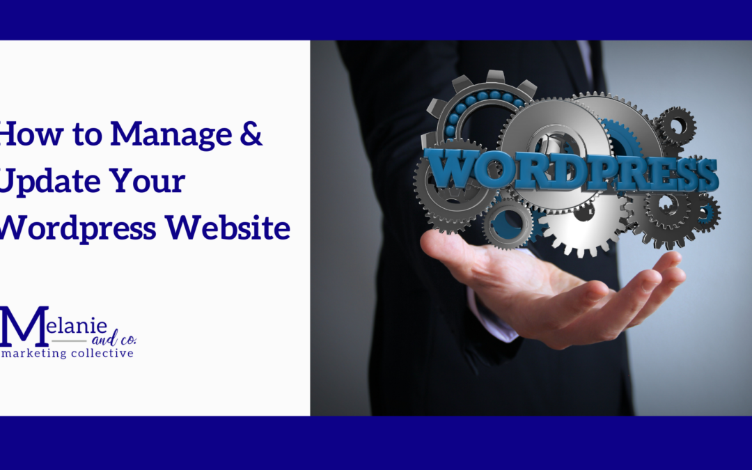 How to Manage & Update Your WordPress Website