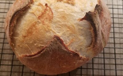 Lessons learned from baking bread